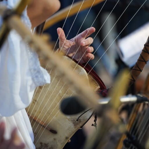 International Lyre Society (ILS)